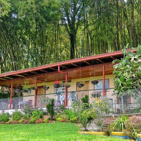 Finca Turistica Los Rosales 佩雷拉 外观 照片