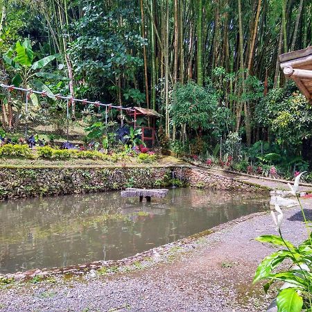 Finca Turistica Los Rosales 佩雷拉 外观 照片