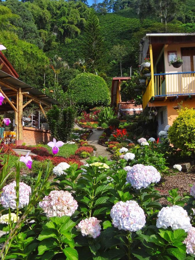 Finca Turistica Los Rosales 佩雷拉 外观 照片