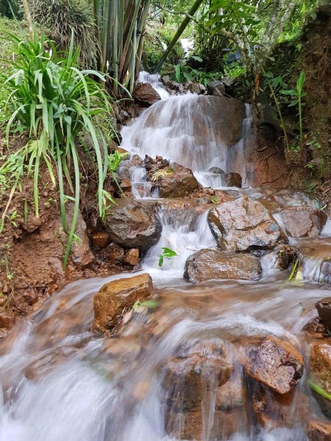 Finca Turistica Los Rosales 佩雷拉 外观 照片