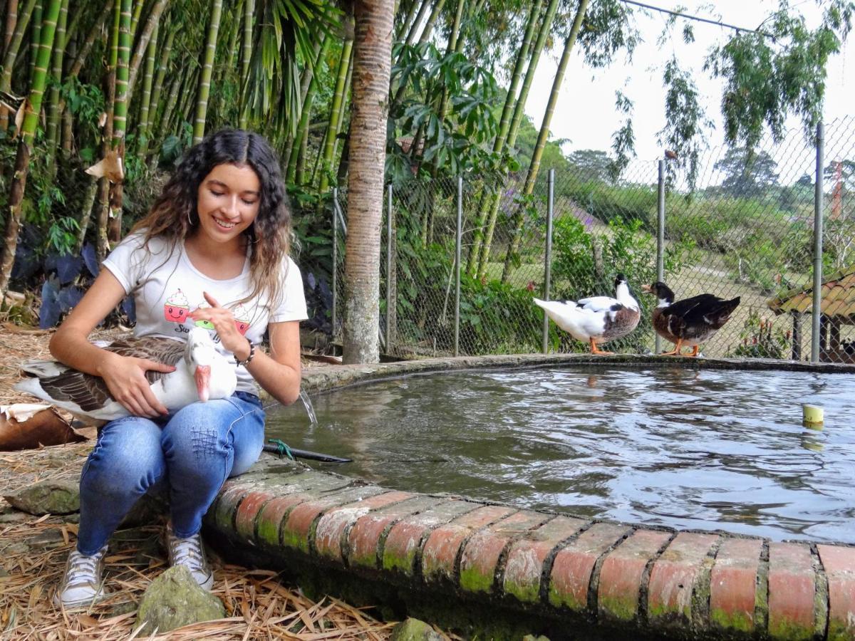 Finca Turistica Los Rosales 佩雷拉 外观 照片